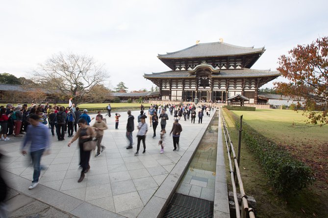 Kyoto and Nara 1 Day Trip - Golden Pavilion and Todai-Ji Temple From Kyoto - Feedback and Reviews