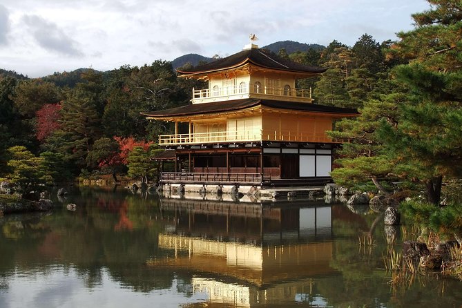 Kyoto Custom Half Day Tour - Language and Availability