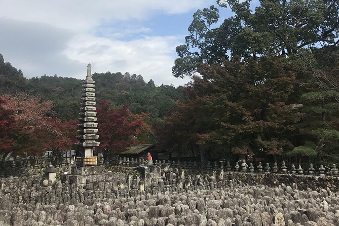 Kyoto: Descending Arashiyama (Private) - Cancellation Policy
