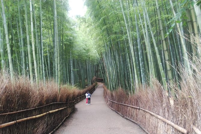Kyoto Early Riser Platinum One-Day Tour - Additional Information