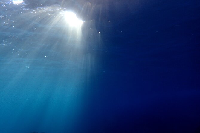 Lets Enjoy Scuba Diving in Izu Oceanic Park Izu Peninsula for Certificate Diver - Additional Information