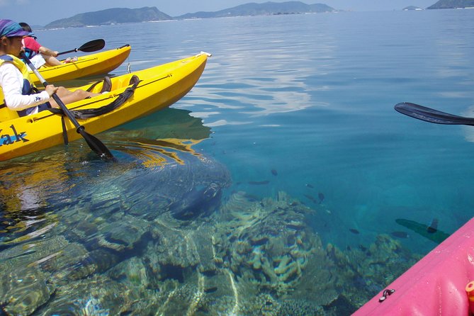 Lets Go to a Desert Island of Kerama Islands on a Sea Kayak - Exploring the Marine Life on a Sea Kayak