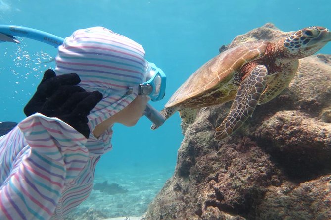 [Miyakojima Snorkel] Private Tour From 2 People Lets Look for Sea Turtles! Snorkel Tour That Can Be - Directions to Miyakojima for the Snorkel Tour
