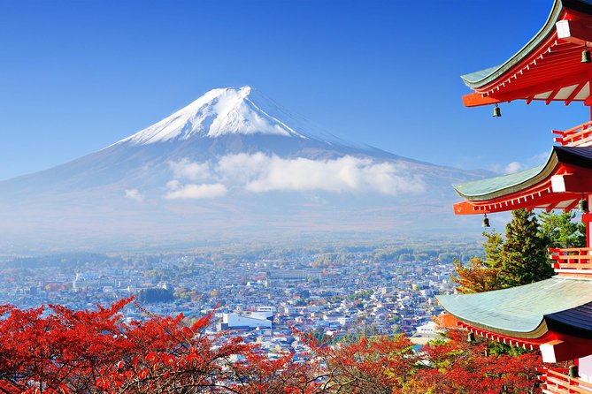Mount Fuji Day Trip From Tokyo With a Local: Private & Personalized - Reviews and Price