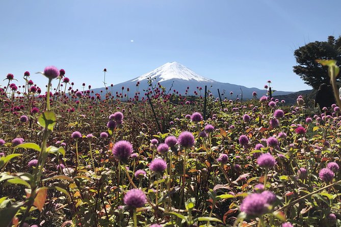 Mt Fuji Day Tour With Kawaguchiko Lake and Fifth Station - Tips for a Successful Mt. Fuji Day Tour