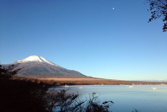 Mt Fuji Full-Day Tour By Car - Traveler Photos and Reviews