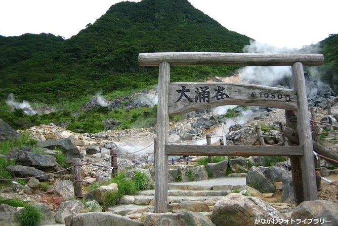Mt. Fuji & Hakone 1 Day Tour From Tokyo (Return by Bullet Train in Option） - Mt. Fuji and Hakone Experiences