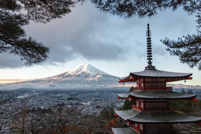 Mt Fuji, Hakone Private Tour by Car With Pickup - Customer Testimonials