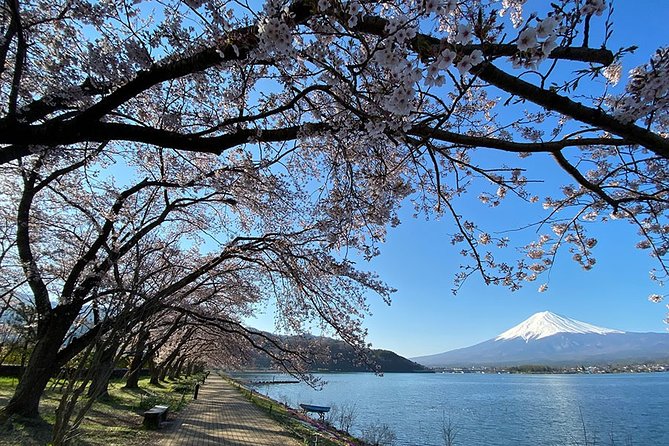 Mt Fuji Lakeshores Full-Day Bike Tour - Pricing and Additional Information