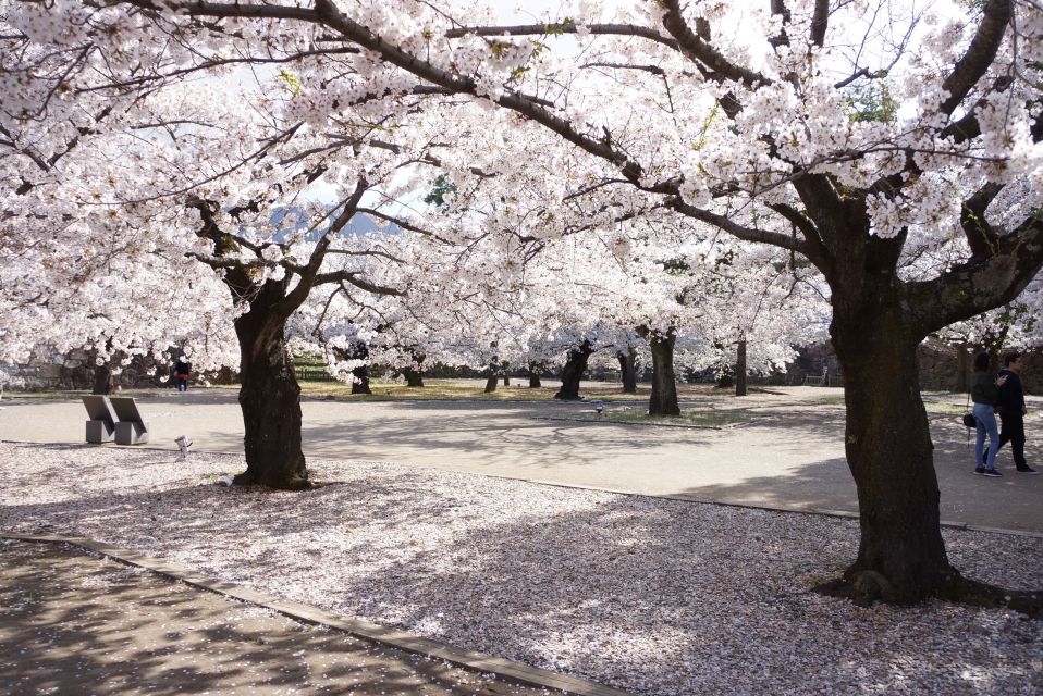 Nagano: 1-Day Snow Monkey & Cherry Blossom Tour in Spring - Customer Reviews and Ratings