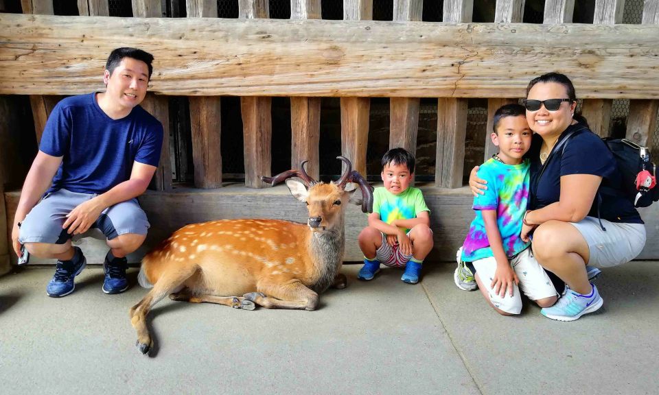 Nara: Nara Park Private Family Bike Tour With Lunch - Important Information
