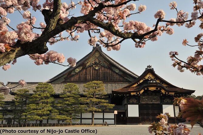 Nijo Castle, Golden Pavilion, Sanjusangen-Do Tour From Osaka - Recommendations for Independent Explorations