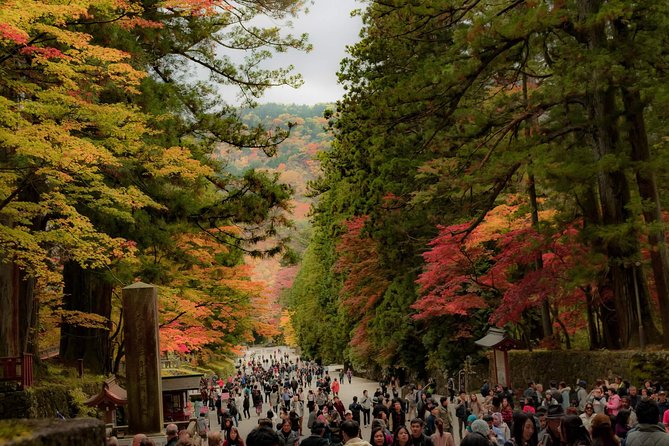 Nikko Custom Full Day Tour - Dress Code and Arrival Requirements