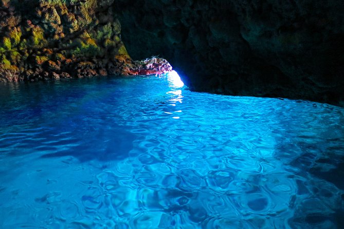 [Okinawa Blue Cave] Snorkeling and Easy Boat Holding! Private System Very Satisfied With the Beautif - Learning About the Blue Cave Ecosystem