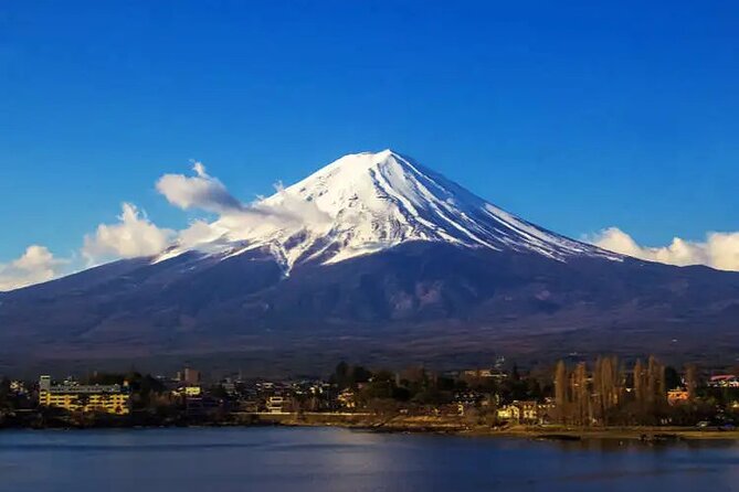 Private Car/Van Charter Full Day Tour MT Fuji And Hakone, (Guide) - Frequently Asked Questions