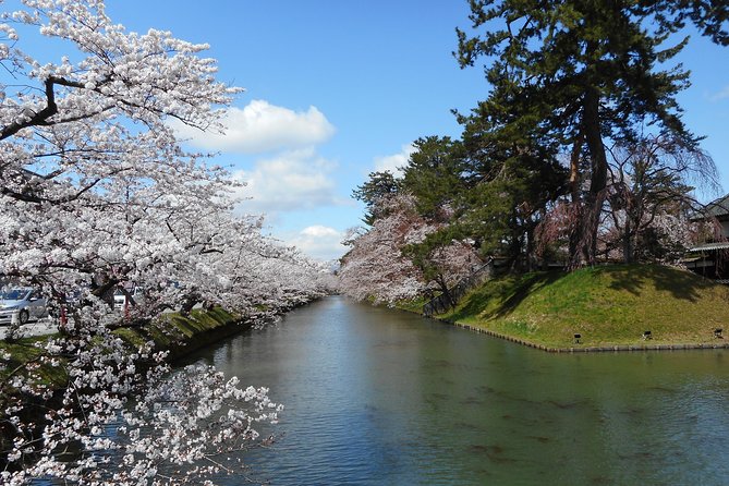 Private Cherry Blossom Tour in Hirosaki With a Local Guide - Rave Reviews From Travelers