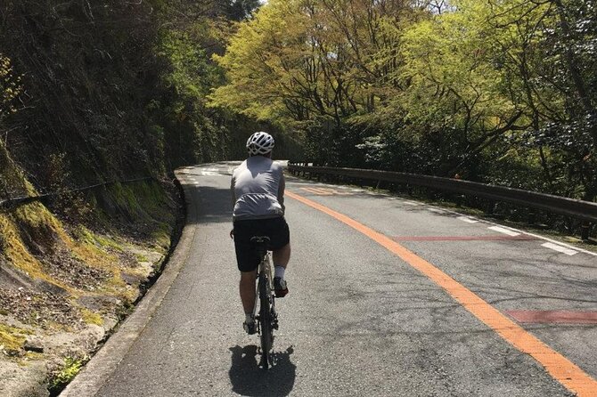 Private & Customized - Kansai Cycle Tour - Pricing and Logistics