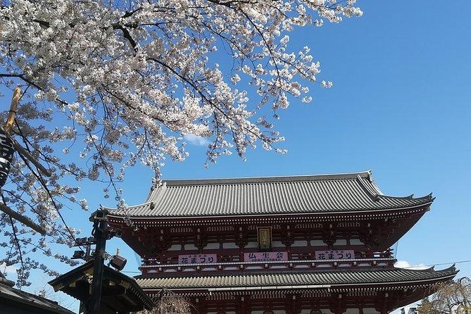 Private Full-Day Cherry-Blossom Tour of Tokyo With Tsukiji - Pricing and Booking Information