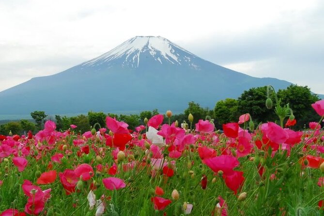 Private Full-Day Guided Tour in Mount Fuji Lakes - Directions