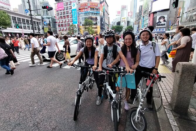 Private Half-Day Grand Bike Tour in Tokyo - Private Tour Activity