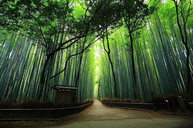Private Kyoto Tour With Hotel Pickup and Drop off From Osaka - Tour Details and Inclusions