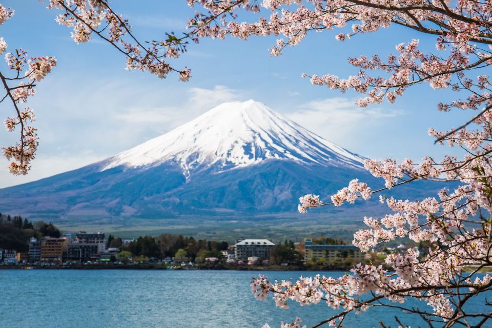 Private MT Fuji and Hakone Full Day Trip - Frequently Asked Questions