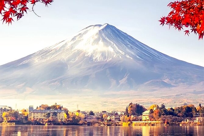 Private Sedan One-Day Mount Fuji Tour - Weather Contingency