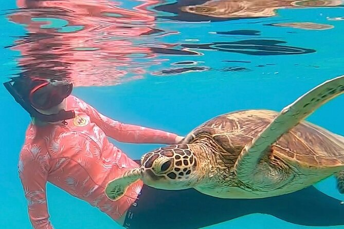 Private Swimming and Snorkeling Tour With Sea Turtles in Amami - Additional Information