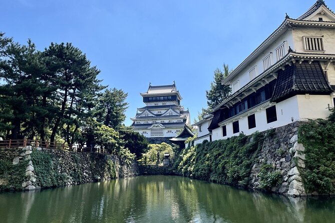 Private Tour to Kokura Castle, Uomachi Street, and Yasaka Shrine - Private Tour Details
