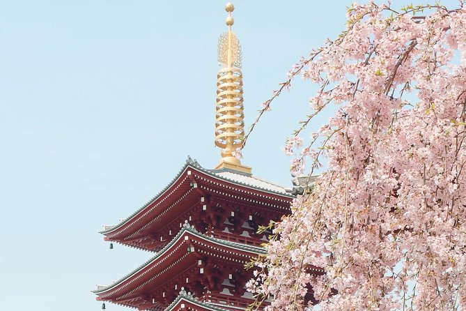 Private & Unique Kyoto Cherry Blossom "Sakura" Experience - Price and Terms