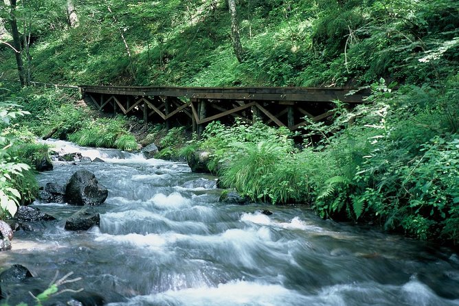 Relax and Refresh in Karuizawa Forest! Shinanoji Down Trekking Around Two People - Additional Information