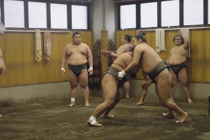 Sumo Morning Practice Tour at Stable in Tokyo - Tour Highlights