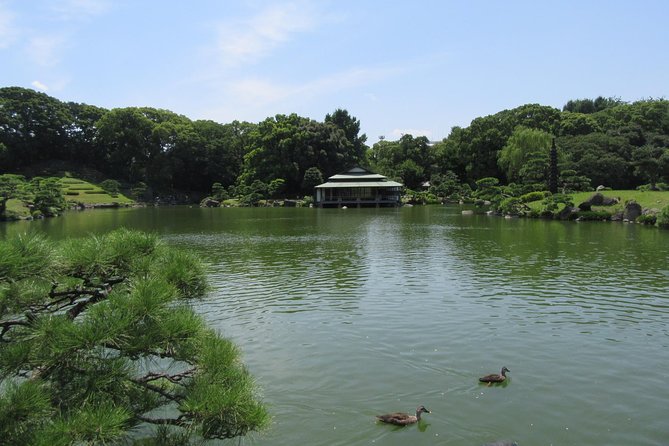 Tokyo by Bike: Skytree, Kiyosumi Garden and Sumo Stadium - Experience the Tranquility of Kiyosumi Garden