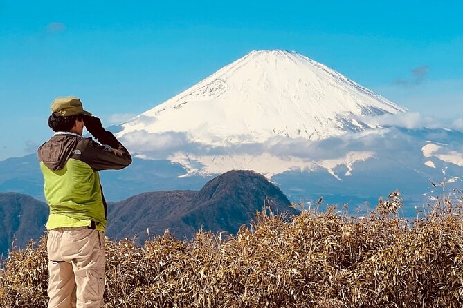 Traverse Outer Rim of Hakone Caldera and Enjoy Onsen Hiking Tour - Practical Information and Booking Details