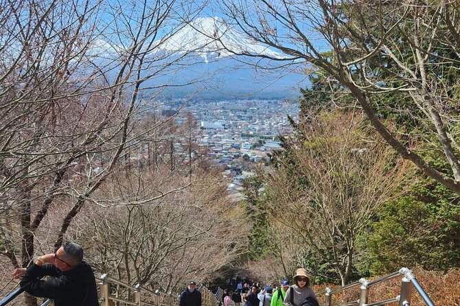 1 Day Private Tour of Hakone With English Driver - Price, Copyright, and Terms & Conditions