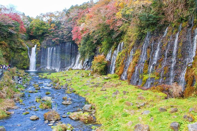 A Trip to Enjoy Subsoil Water and Nature Behind Mt. Fuji - The Sum Up