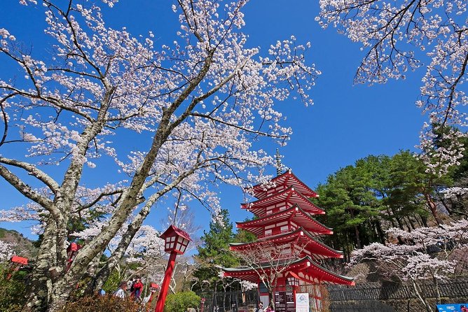Cherry Blossom ! Five-Story Pagoda,Mt. Fuji 5th Station,Panoramic Ropeway - Frequently Asked Questions