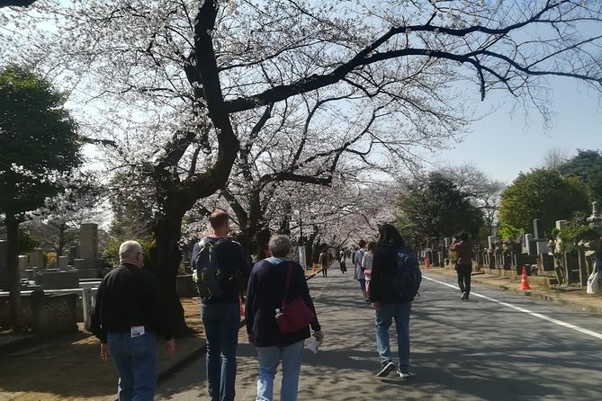 Cherry Blossom Highlights, Asakusa, Ueno, Yanaka - Tips for Enjoying Cherry Blossoms in Tokyo