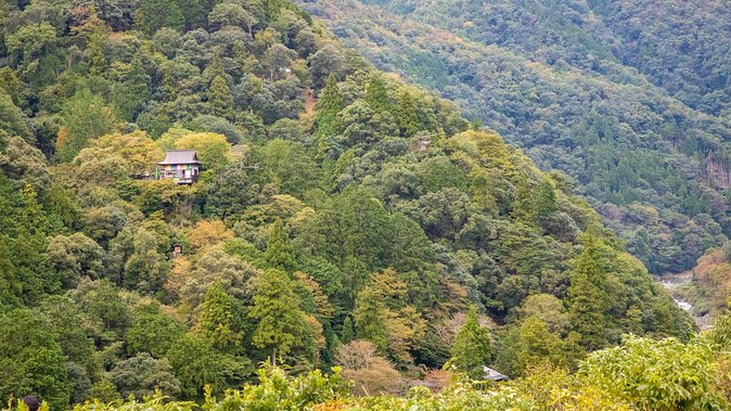 City Escape: Arashiyama Park Private Day Trip - Terms & Conditions