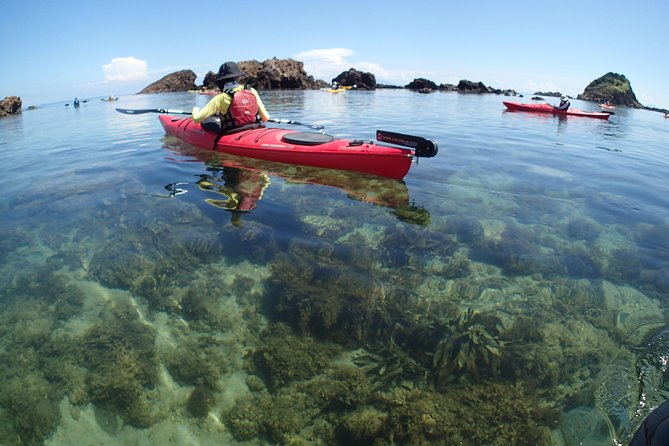 First Seakayak Tour - Tips for a Successful Tour