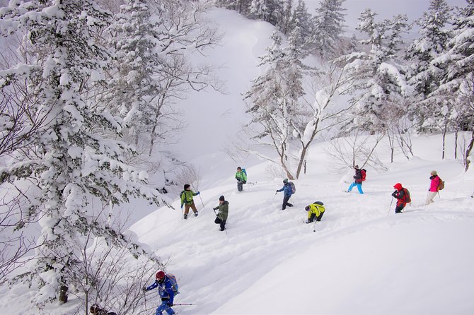 Fluffy New Snow and the Earth Beating, Goshougake Oyunuma Snowshoeing Tour - Additional Notes