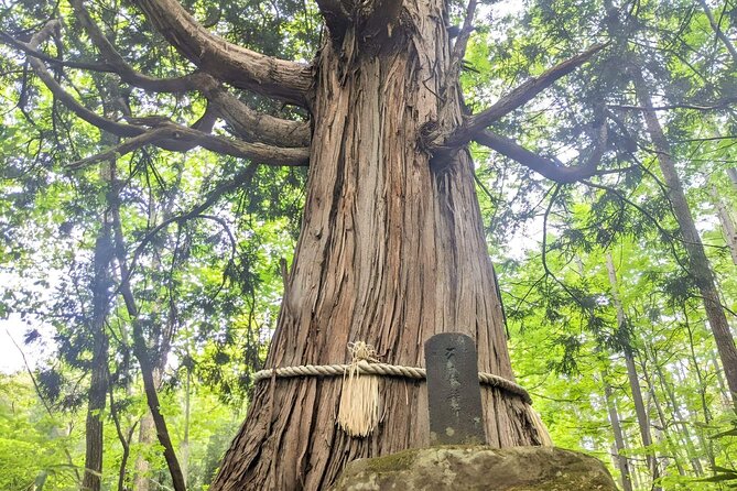 Forest Shrines of Togakushi, Nagano: Private Walking Tour - Frequently Asked Questions