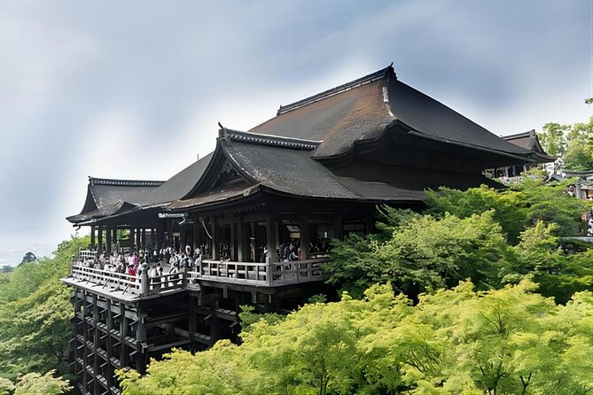 From Osaka: 10-hour Private Custom Tour to Kyoto - The Sum Up