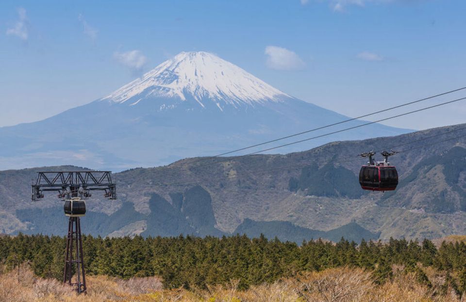 From Tokyo: Hakone and Owakudani Private Day Trip - Transportation and Pickup Information
