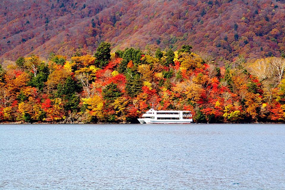 From Tokyo: UNESCO Shrine and Nikko Scenic Spots Bus Tour - Participant and Date Selection