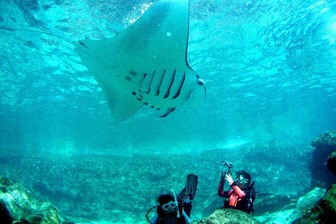 Full Day Guided Boat 2diving in Kerama Islands（License Required） - Important Reminders