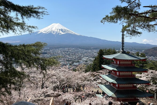 Full Day Mt.Fuji Tour To-And-From Yokohama&Tokyo, up to 12 Guests - Weather Considerations