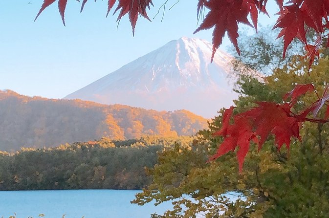Full Day Private Fuji Tour With English Driver & Muslim Friendly - Customer Experiences