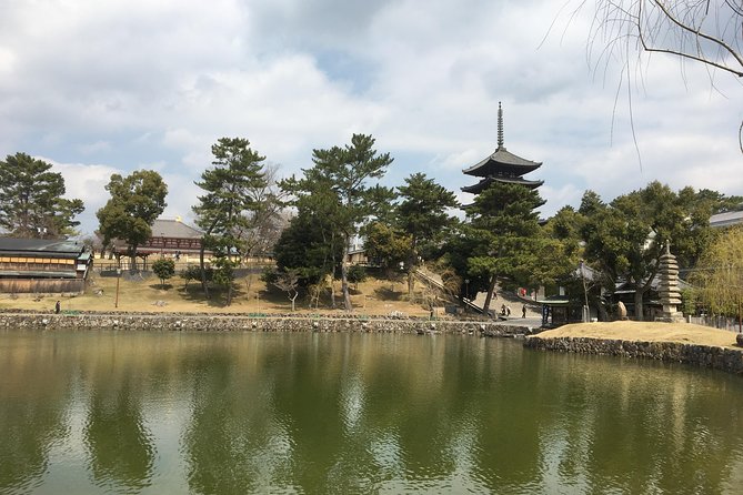 Full-Day Private Guided Tour to Nara Temples - Customer Support Services