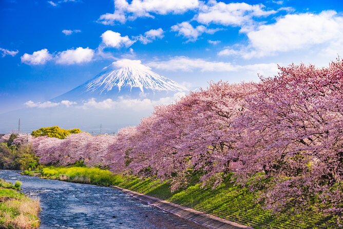 Full Day Private Tour Mt. Fuji, Hakone and Lake Ashi - Additional Benefits and Features